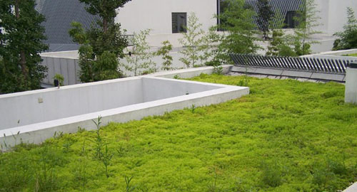 上海九间堂别墅群轻型屋顶绿化项目