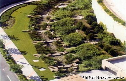 英国波特兰雨园