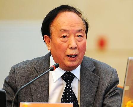 崔功豪:国内智慧城市建设不能一哄而起