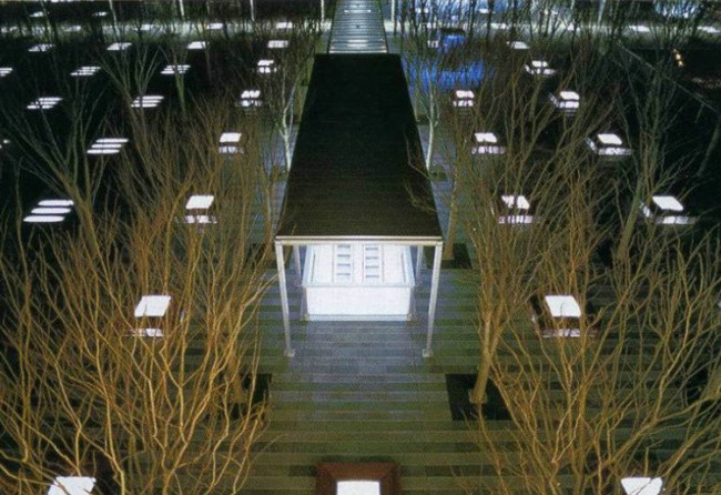 榉树广场