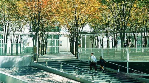 日本崎玉县空中森林广场