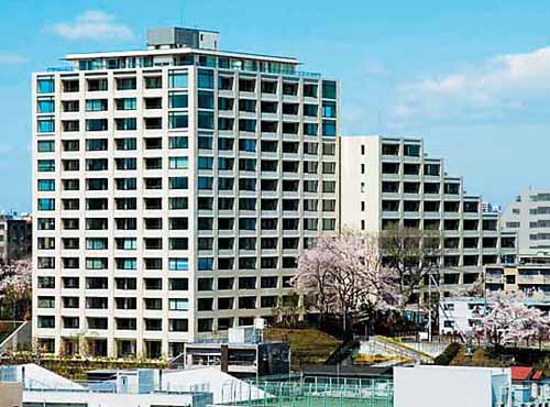 张曙光:应放开小产权房 开征房产税增大税负