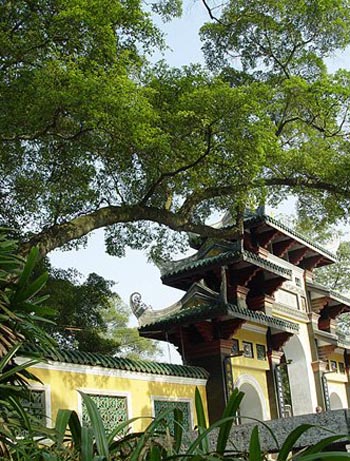 各位,相对主义诡辩论属于形而上学吗?