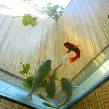 陶东虹:浅谈墙体裂缝成因与控制