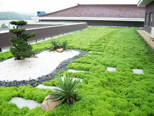 百家乐“花荟品徐汇”2025上海国际花展徐汇区分会场即将开幕精彩抢先看！